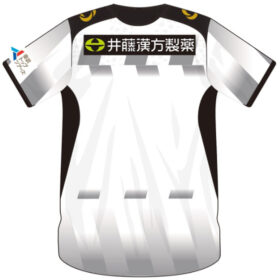 2025 FC Osaka Player Jersey Away - Image 2