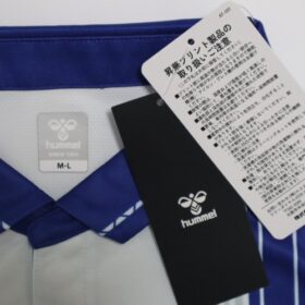 2025 Gamba Osaka Jersey Away Long Sleeve - Image 3