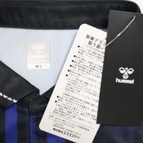 2025 Gamba Osaka Jersey Home Long Sleeve - Image 3