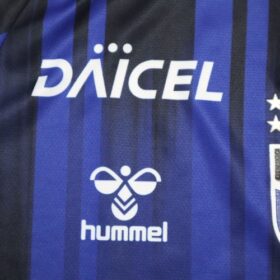 2025 Gamba Osaka Jersey Home Long Sleeve - Image 6