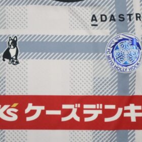 2025 Mito Hollyhock Player Jersey Away - Image 4