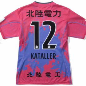 2025 Kataller Toyama Player Jersey GK Fourth - Image 2