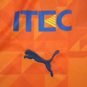 2025 Shimizu S-Pulse Jersey Home - Image 6