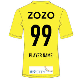 2025 Tegevajaro Miyazaki Player Jersey GK Home - Image 2