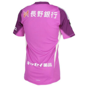 2025 Matsumoto Yamaga FC Player Jersey GK Away - Image 2