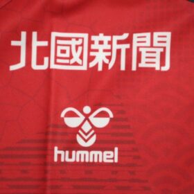 2025 Zweigen Kanazawa Player Jersey Home - Image 6