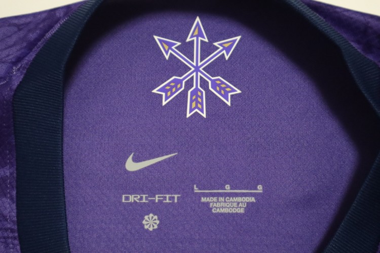 2026 Sanfrecce Hiroshima Jersey Home Hyakunen Vision League - Image 3