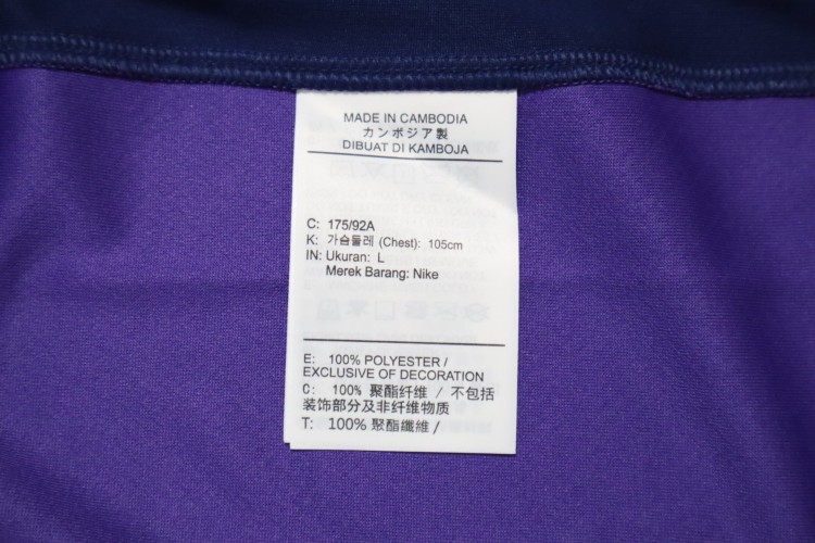 2026 Sanfrecce Hiroshima Jersey Home Hyakunen Vision League - Image 9