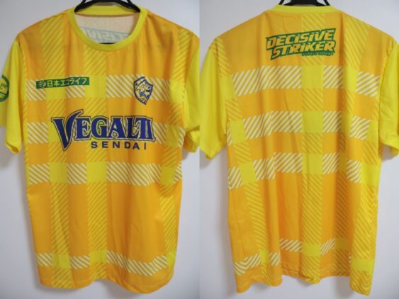 2022 Vegalta Sendai Cheap Jersey
